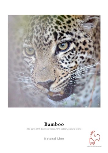 Hahnemuhle-Bamboo.jpg