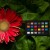 Wzorzec-Calibrite-ColorChecker-Classic -Nano-3.jpg