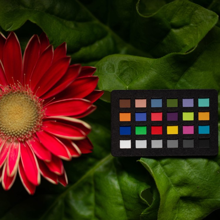 Wzorzec-Calibrite-ColorChecker-Classic -Nano-3.jpg