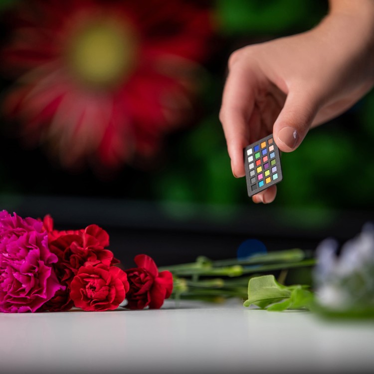 Wzorzec-Calibrite-ColorChecker-Classic -Nano-5.jpg
