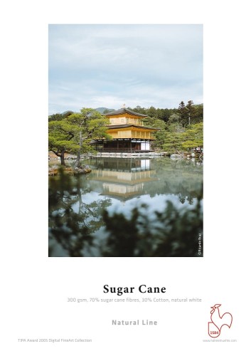 Papier HAHNEMUHLE Sugar Cane 300