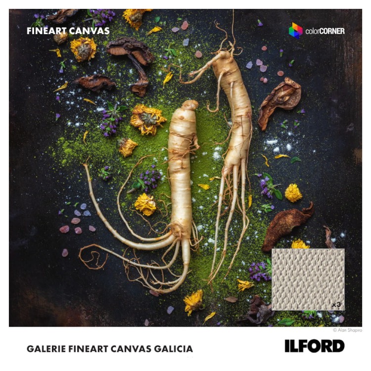 Płótno w roli ILFORD GALERIE FineArt Canvas Galicia 450
