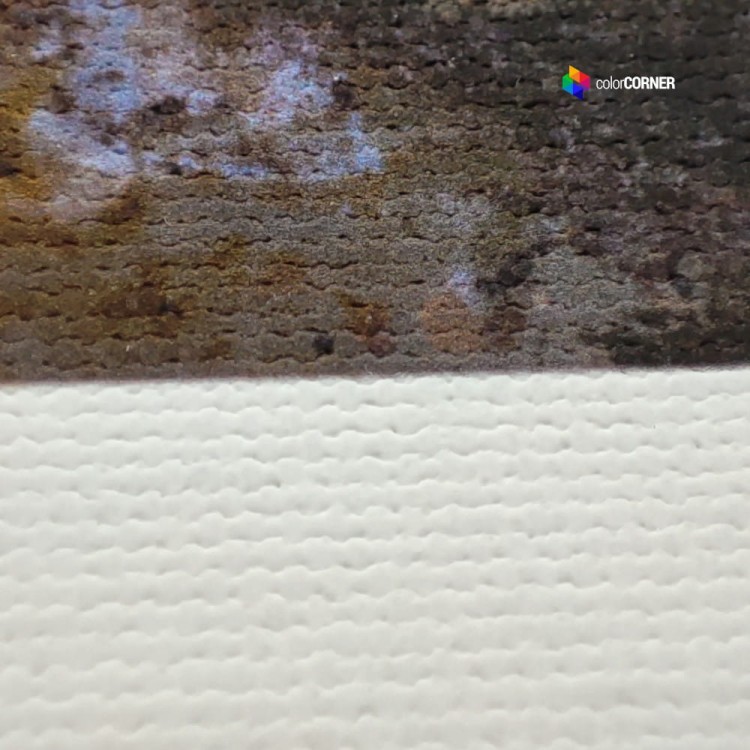 Płótno w roli ILFORD GALERIE FineArt Canvas Galicia 450