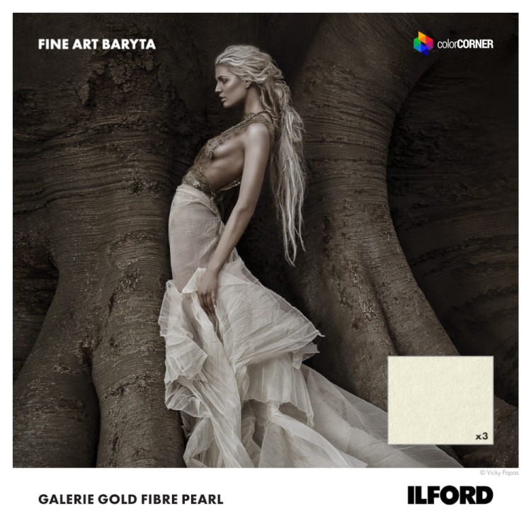 Papier fotograficzny ILFORD GALERIE Gold Fibre Pearl 290