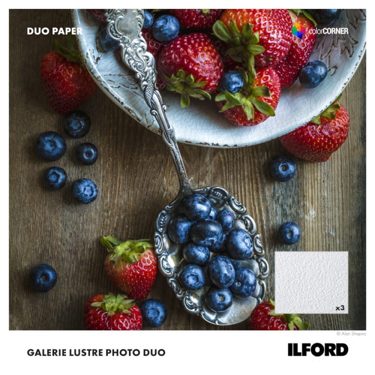 Dwustronny błyszczący papier ILFORD GALERIE Lustre Photo Duo 330