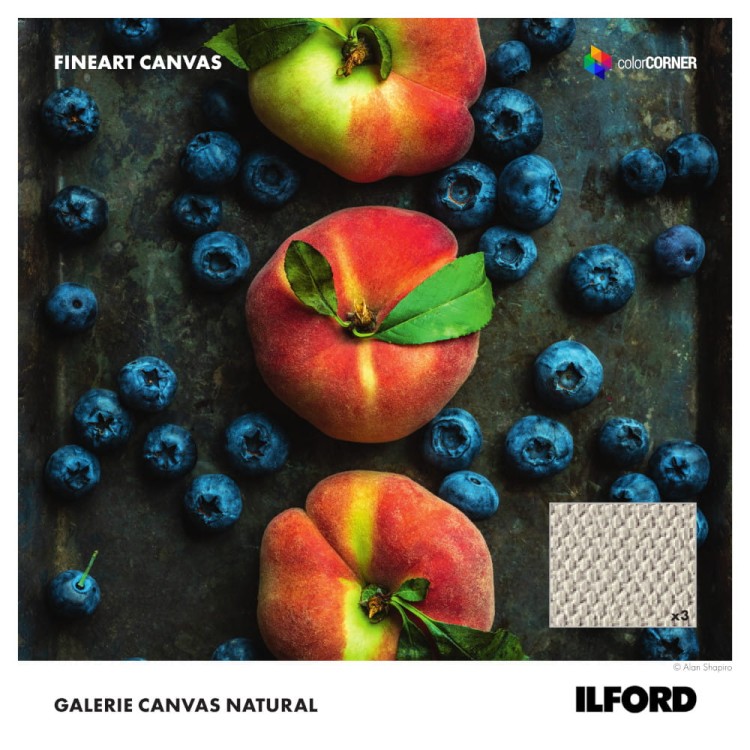 Płótno ILFORD GALERIE Canvas Natural 340