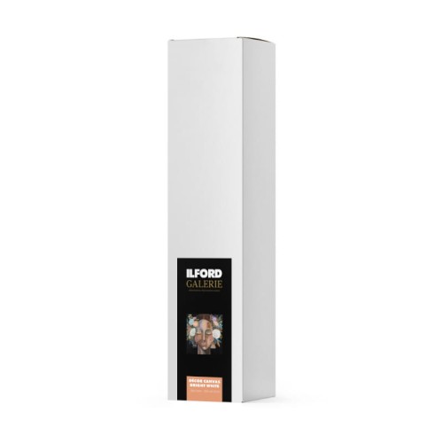 Matowe płótno w roli ILFORD GALERIE Décor Decor Canvas Glossy 400