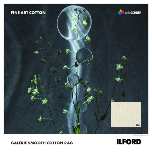 Papier fotograficzny ILFORD GALERIE Smooth Cotton Rag 310