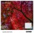 Satynowy papier do zdjęć ILFORD GALERIE Satin Photo 260