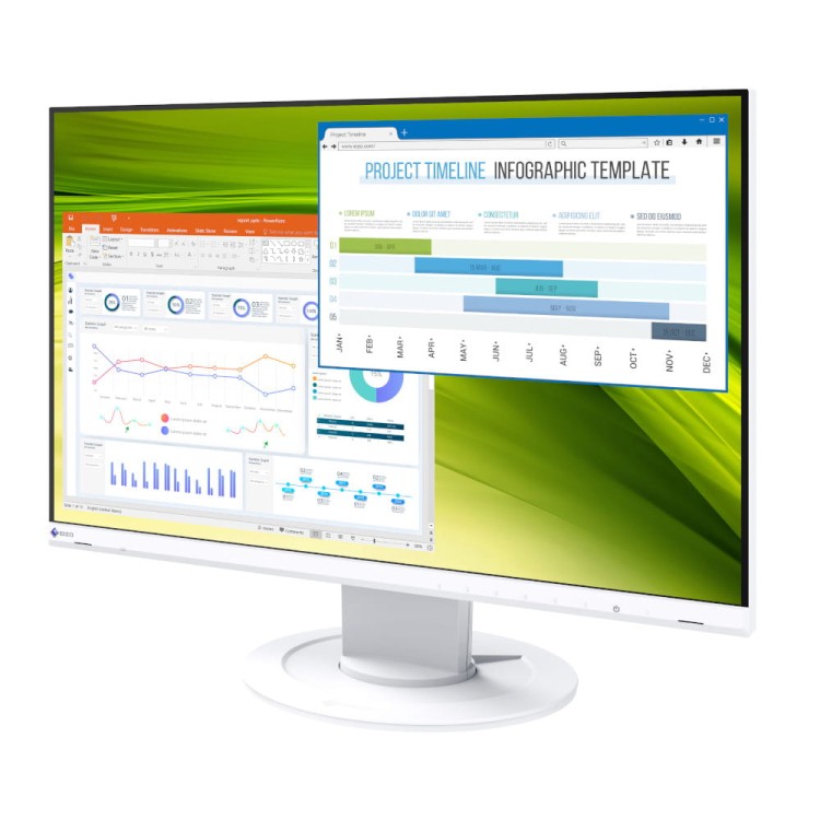 Monitor EIZO FlexScan EV2360
