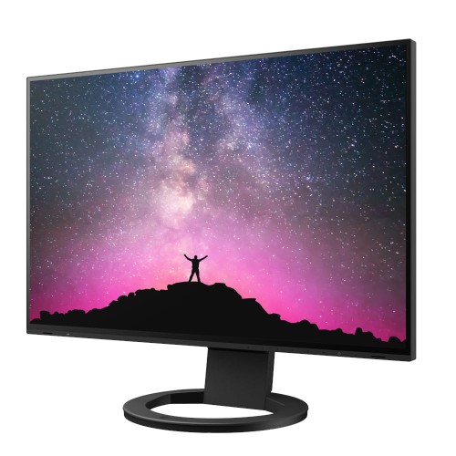 Monitor EIZO FlexScan EV2495