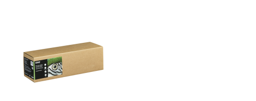 C13S450270.png