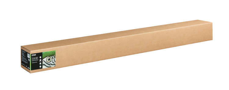 C13S450273.png