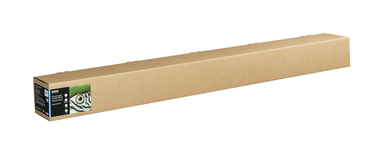 C13S450266.png