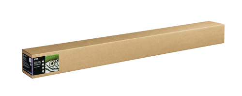 C13S450280.png