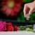 X-Rite-ColorChecker-Classic-Nano-e.jpg