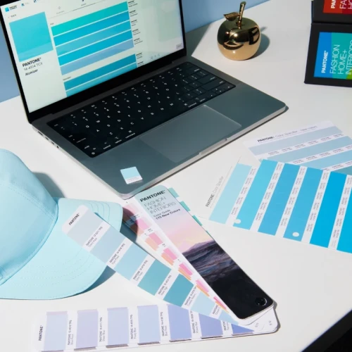 Wzornik kolorów PANTONE FHI Specifier Guide Dualities Expansion Pack FHIP230C