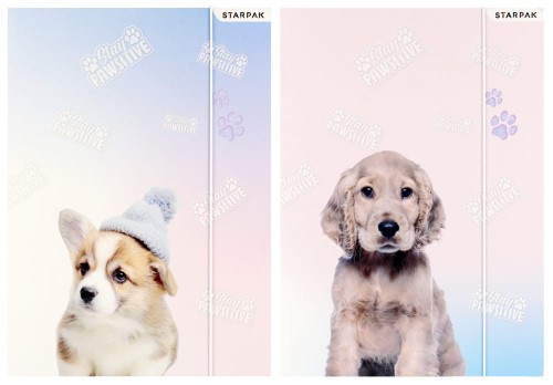 STARPAK_398150.jpg