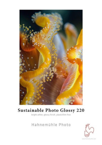 Papier fotograficzny HAHNEMUHLE Sustainable Photo Glossy 220 g/m2