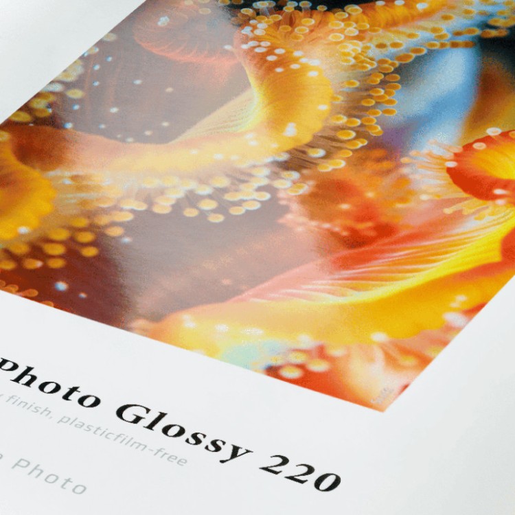 Papier fotograficzny HAHNEMUHLE Sustainable Photo Glossy 220 g/m2 - powierzchnia