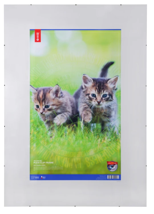 Antyrama pleksi MEMOBE, 70x100 cm (B1)