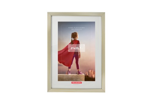 RAMKA NA ZDJĘCIA 300x400mm W RAMIE PLASTIKOWEJ SREBRNEJ MEMOBOARDS