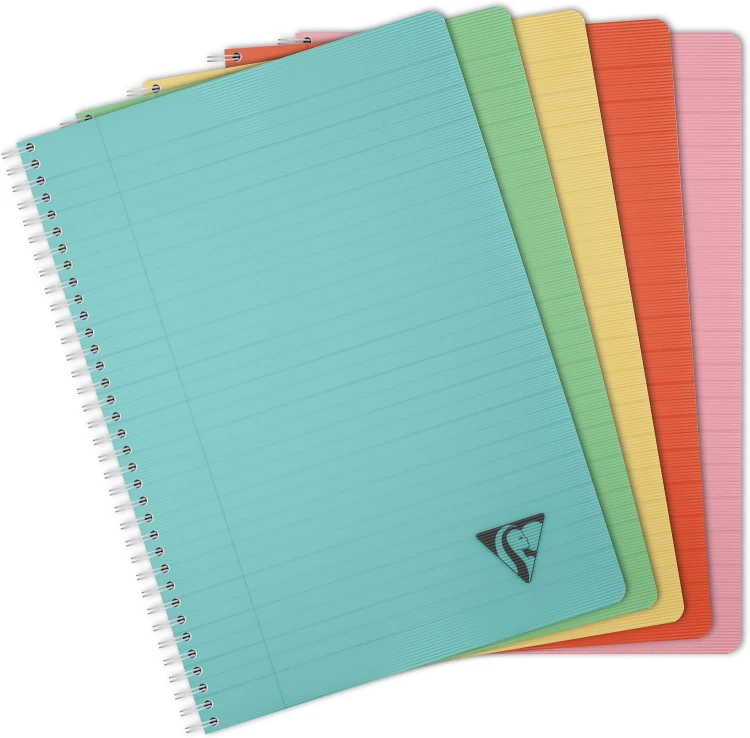 KOŁONOTATNIK LINICOLOR ESSENCE, 21 x 29,7 CM, W LINIE Z MARGINESEM, 90 KARTEK, MIX KOLORÓW CLAIREFONTAINE
