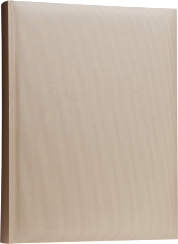 Ramka na zdjęcia Focus Ritz Super 300 10x15 Beige
