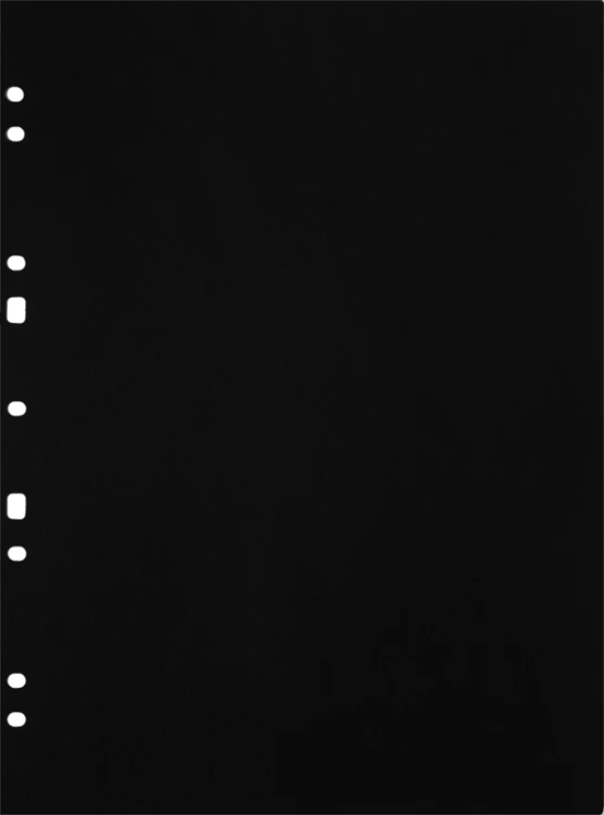Album na zdjęcia Focus Carton Refillsheets for ringbinder A4 Black 30-pack