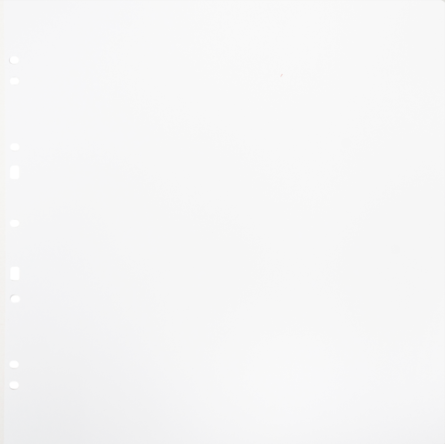 Album na zdjęcia Focus Carton Refillsheets for Ringbinder Gigant White 10-pack