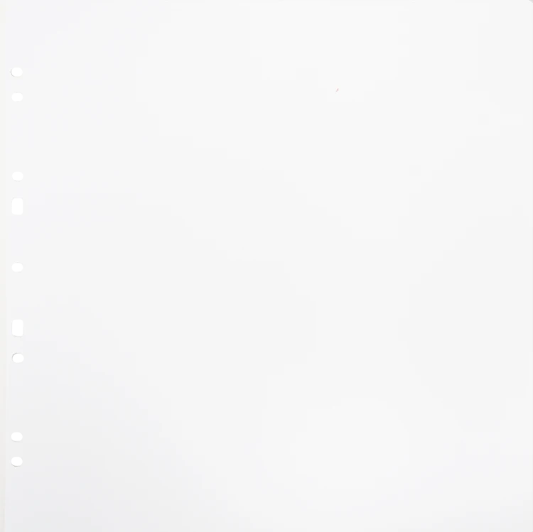 Album na zdjęcia Focus Carton Refillsheets for Ringbinder Gigant White 10-pack