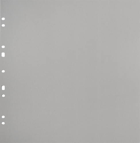 Album na zdjęcia Focus Carton Refillsheets for Ringbinder Gigant Grey 10-pack
