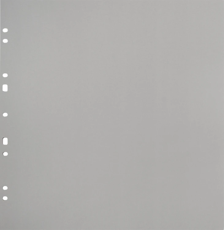 Album na zdjęcia Focus Carton Refillsheets for Ringbinder Gigant Grey 10-pack