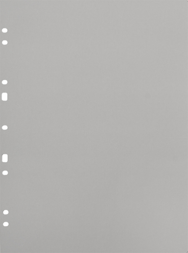 Album na zdjęcia Focus Carton Refillsheets for Ringbinder A4 Grey 30-pack