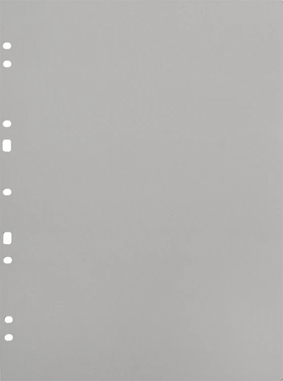 Album na zdjęcia Focus Carton Refillsheets for Ringbinder A4 Grey 30-pack