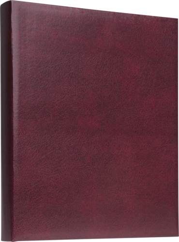 Ramka na zdjęcia Focus Prestige Ringbinder Red