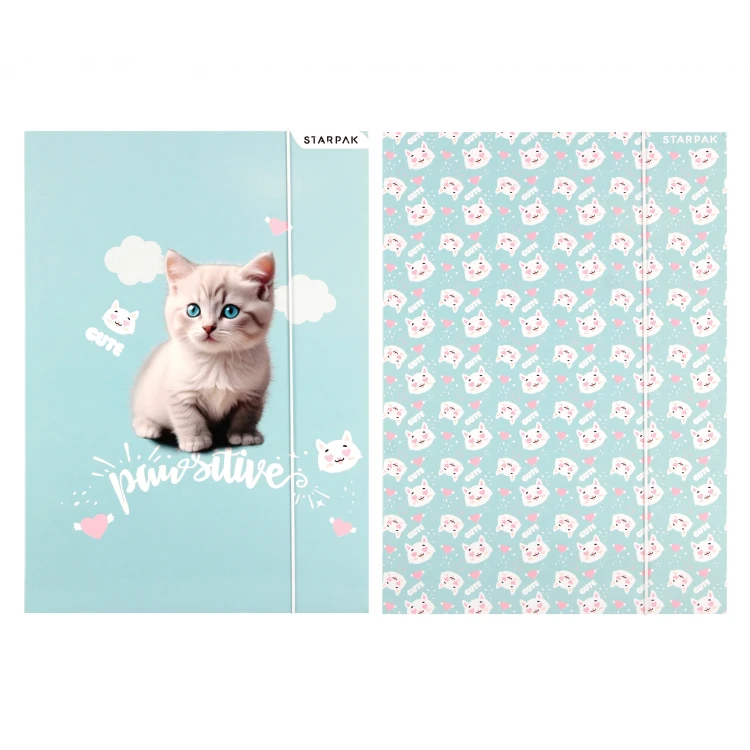 Teczka z gumką A4 Kitty STARPAK 553545