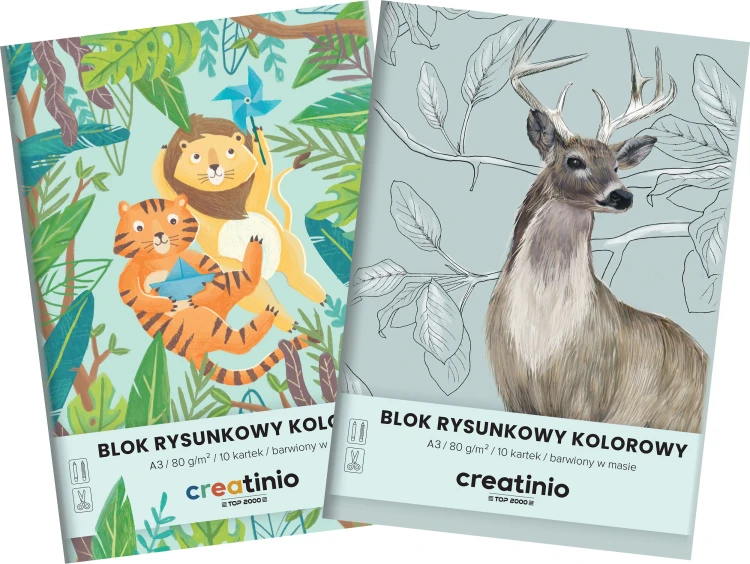 Blok rysunkowy A3/10k kolorowy Creatinio A 10 HAMELIN 400176666
