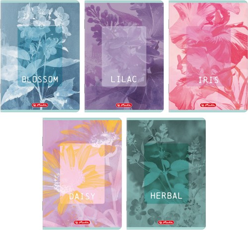 Zeszyt A5/60k linia Blossom  A 10 HERLITZ 400206386