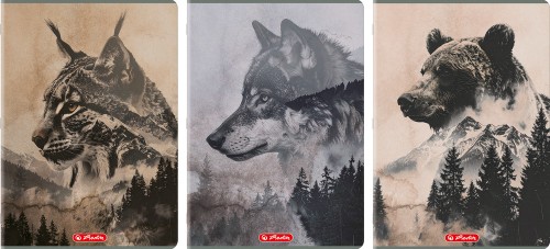 Zeszyt A4/80k kratka Wild A 5 HERLITZ 400206433