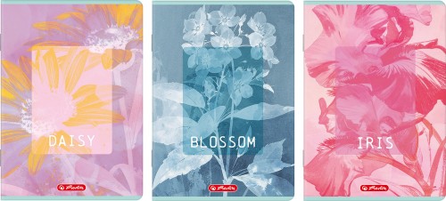 Zeszyt B5/80k kratka Blossom A 5 HERLITZ 400206169