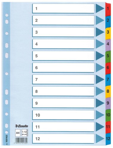 Przekładka A4 kartonowa od 1-12 numeryczna ESSELTE 100162
