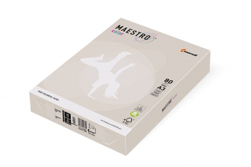 Papier xero A4 160 g popielaty ciemny Maestro op.500 arkuszy IGEPA 941GR21A16
