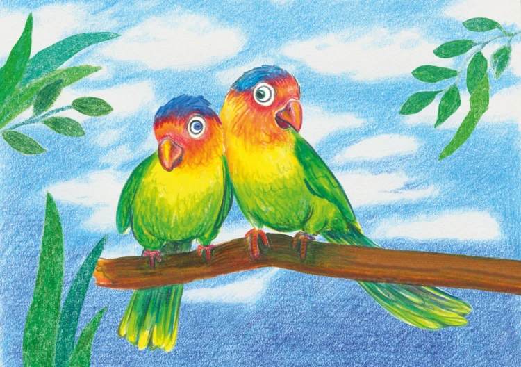 Kredki eco colour trójkątne 12 kol. + temperówka opakowanie karton Faber-Castell – zdjęcie 2