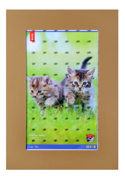 Antyrama pleksi MEMOBE, 70x100 cm (B1) – zdjęcie 3