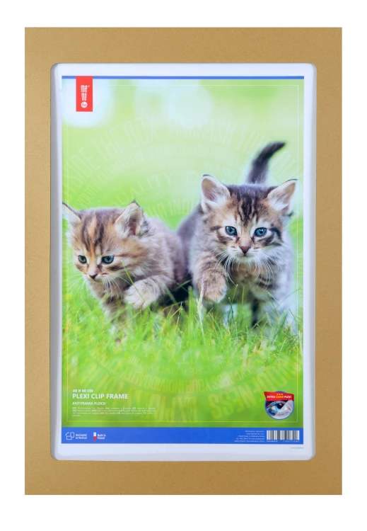 Antyrama pleksi MEMOBE, 40x60 cm – zdjęcie 2