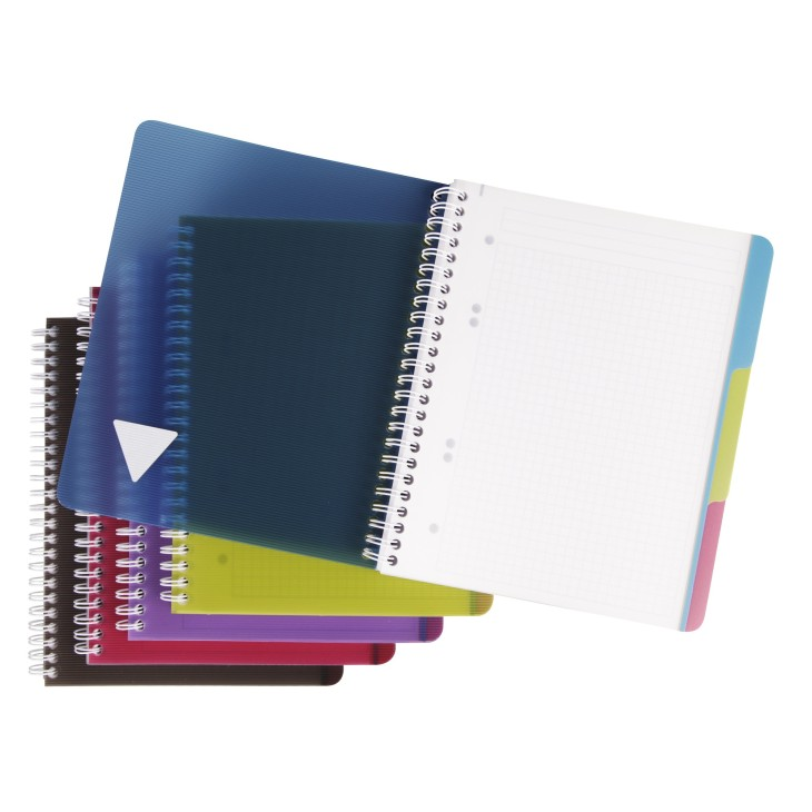Kołonotatnik linicolor evolutiv intensive w okładce z PP, format A5+ (16X21 cm), w kratkę, 90 kartek, 3 przekładki, mix – zdjęcie 2