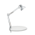 LAMPA BIURKOWA Z KLIPSEM MAULstudy, SREBRNA – zdjęcie 2