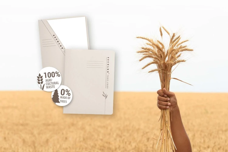 TECZKA NA DOKUMENTY A4 DJOIS x TARIFOLD SECOLOR TREE-FREE OPAKOWANIE 10 SZT. – zdjęcie 5