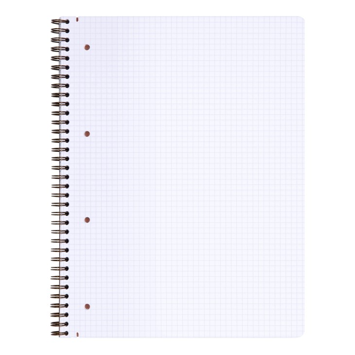 KOŁONOTATNIK NOMADDICT (AGE BAG) A4+ (22,5X29,7 CM),  W KRATKĘ, 80 PERF. KARTEK, BEŻOWY CLAIREFONTAINE_x000D_ – zdjęcie 3